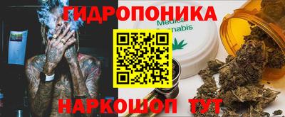 a pvp Лесосибирск